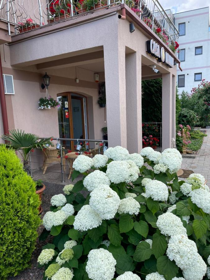 فندق Ametist Casa Leului Năvodari المظهر الخارجي الصورة