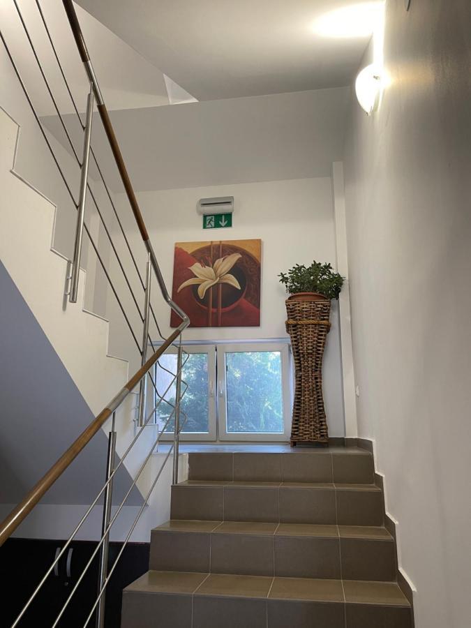 فندق Ametist Casa Leului Năvodari المظهر الخارجي الصورة